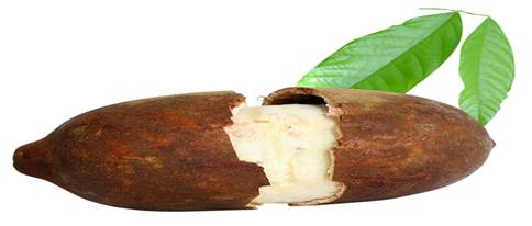 sorbet au fruit du cupuaçu